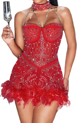 Sexy Feather Rhinestone Backless Mesh Sheer Burlesque Outfit Nightout Clubwear Birthday Party Dress